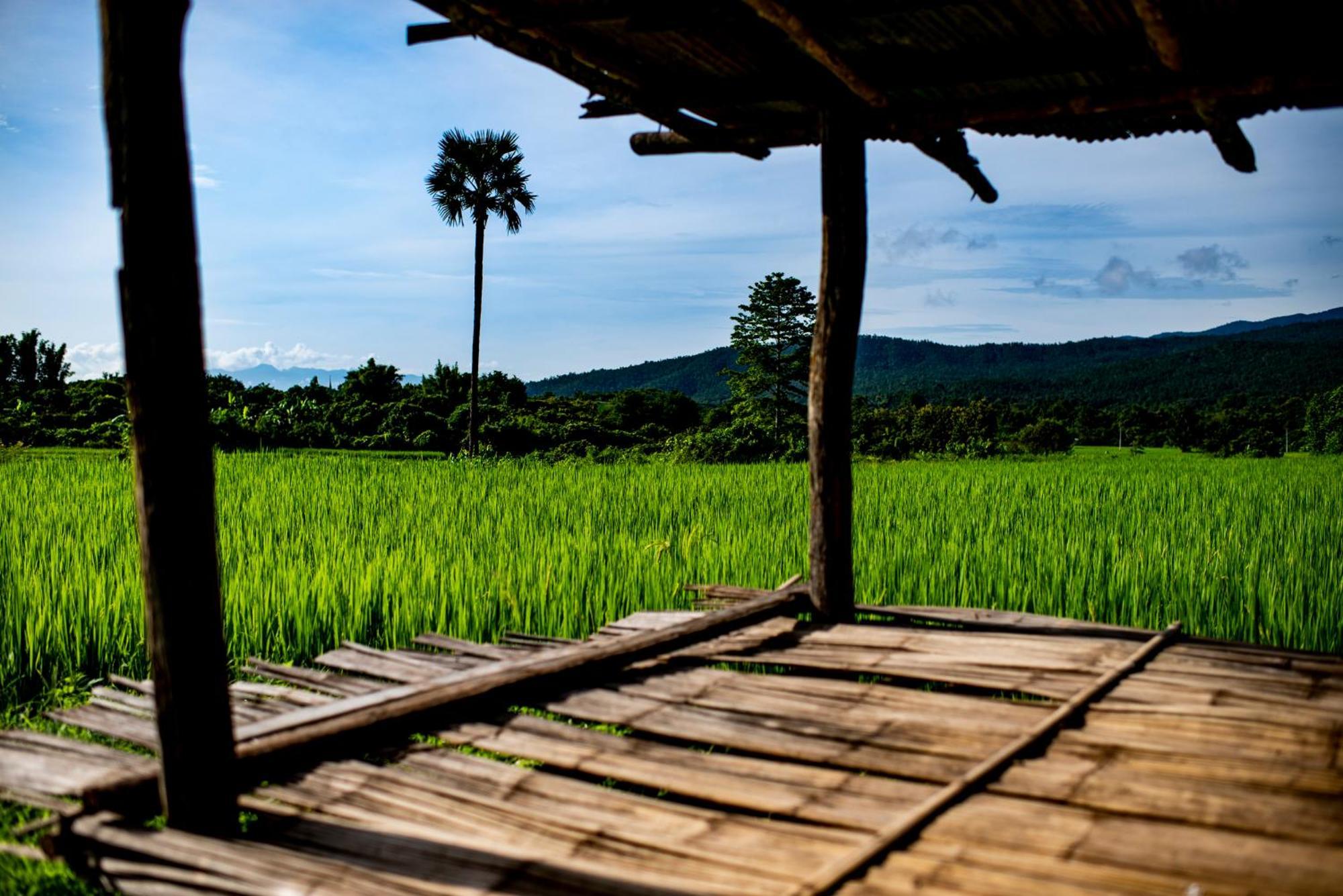 Suan Sook Homestay 촘통 외부 사진