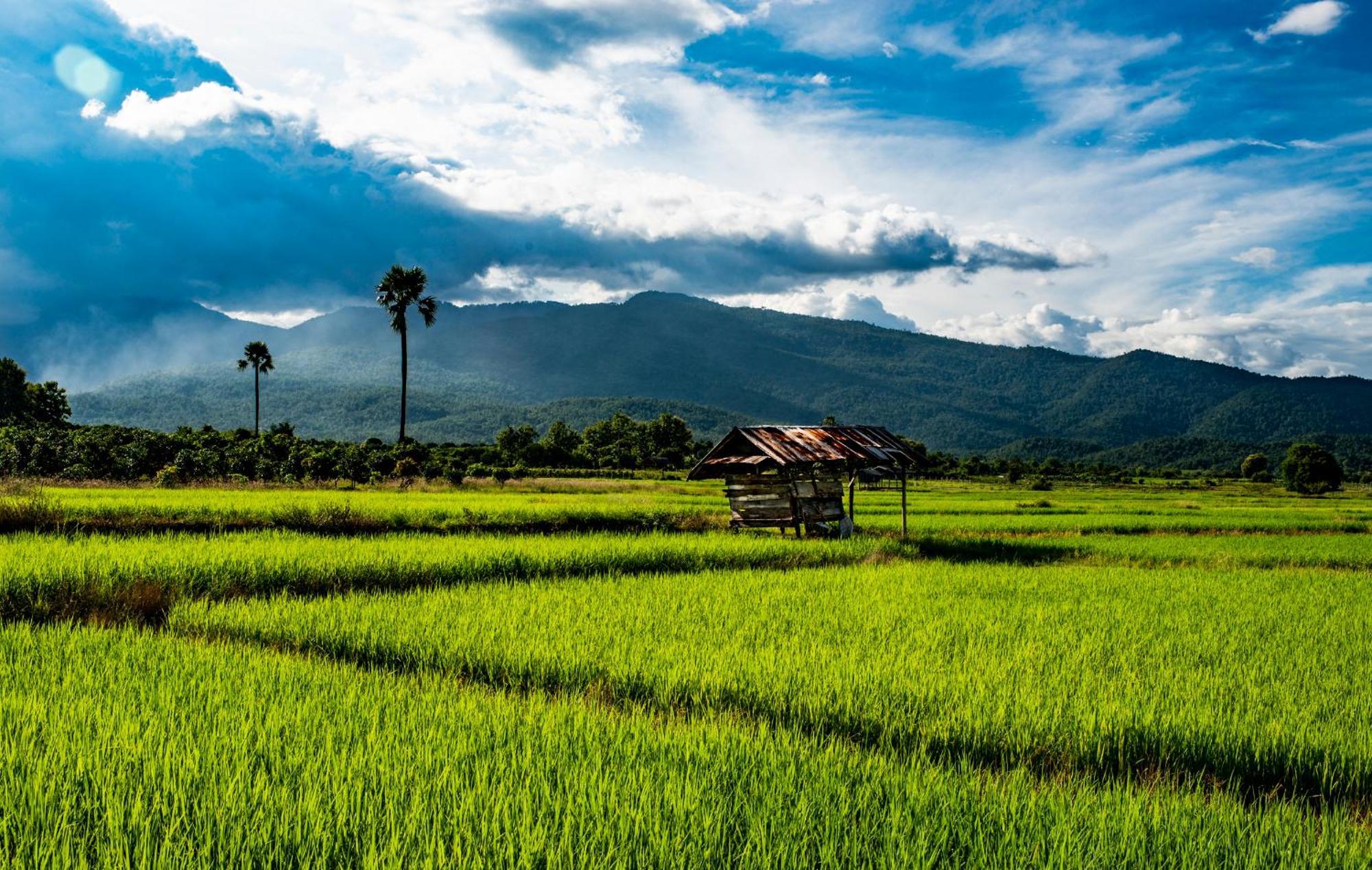 Suan Sook Homestay 촘통 외부 사진