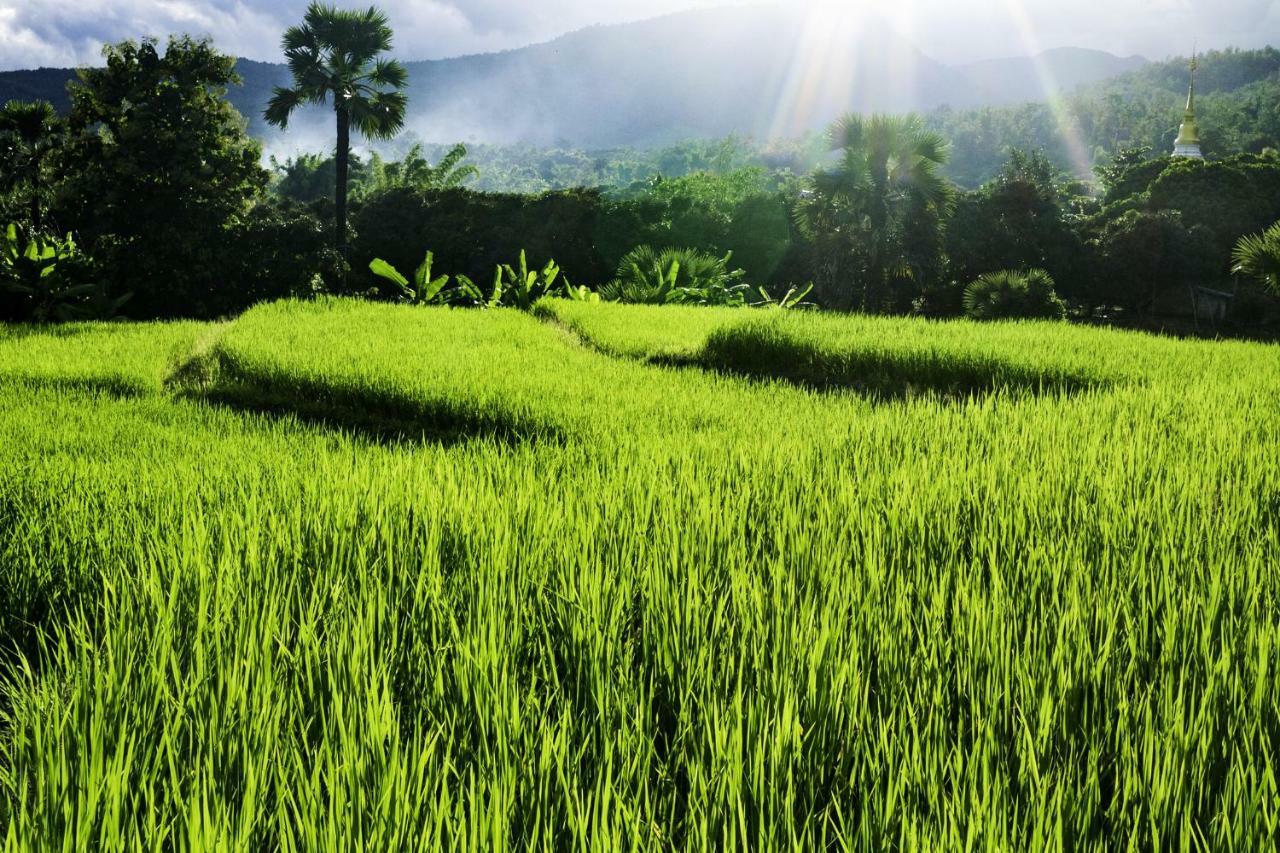Suan Sook Homestay 촘통 외부 사진