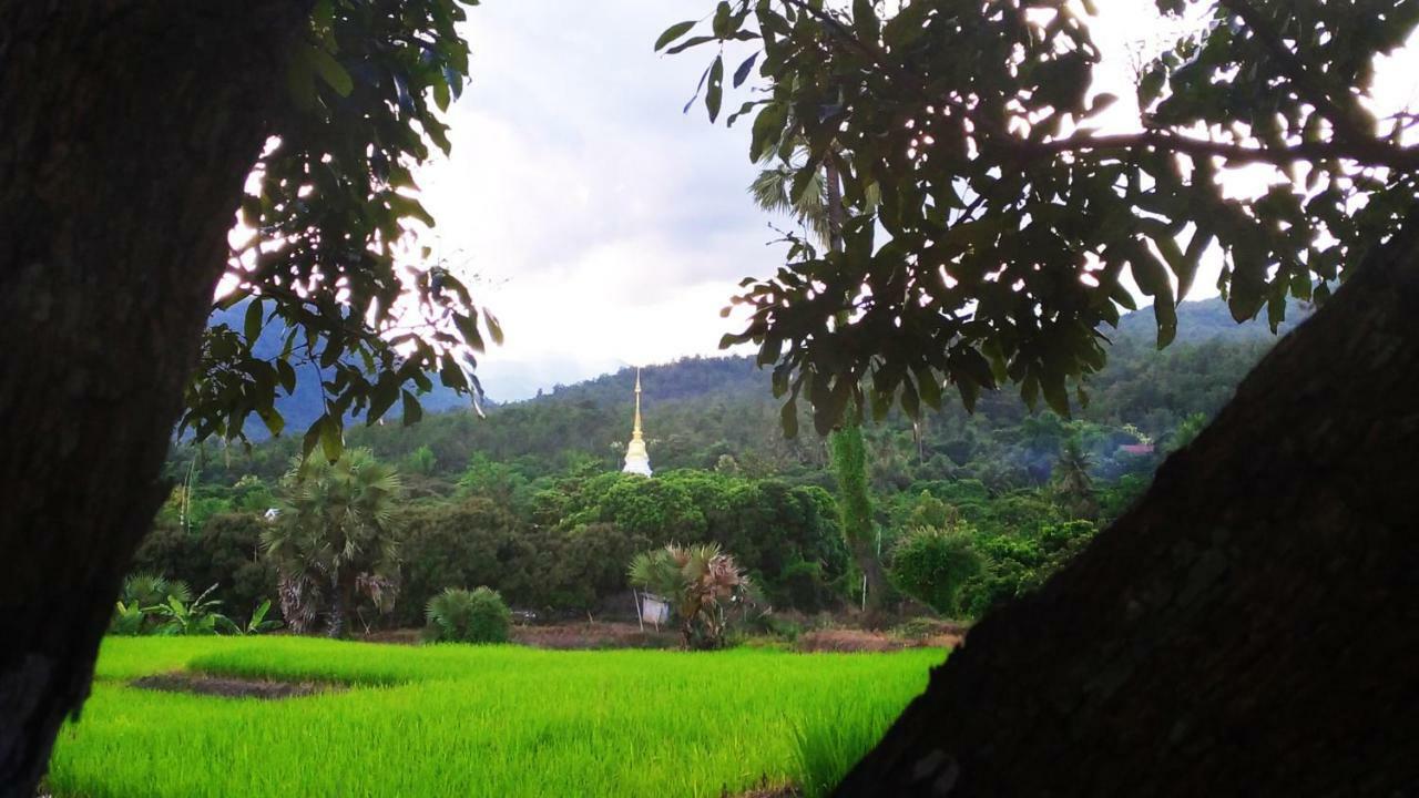 Suan Sook Homestay 촘통 외부 사진