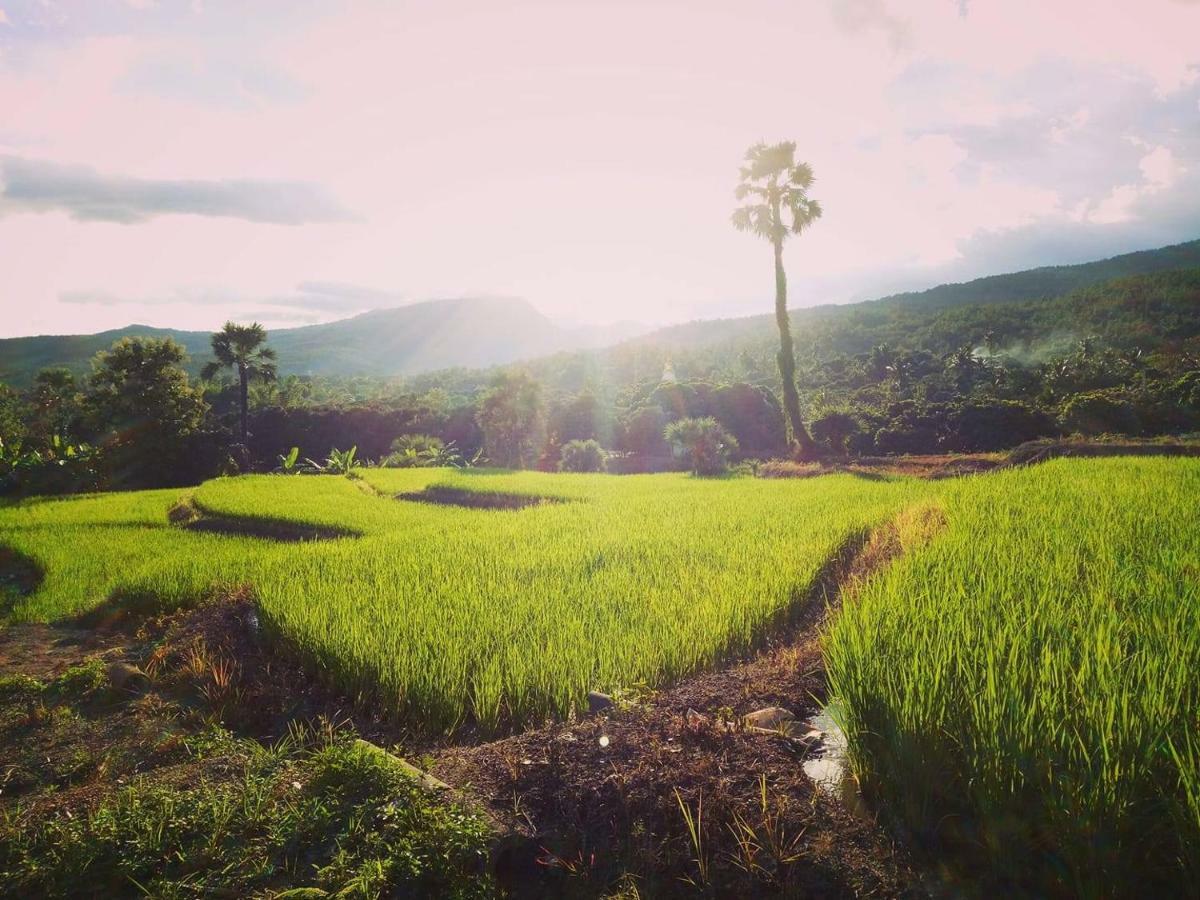 Suan Sook Homestay 촘통 외부 사진
